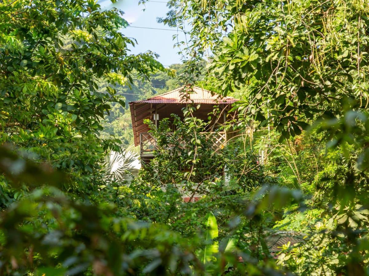 Deep Forest Posadas Ecoturisticas El Zaino Exteriör bild